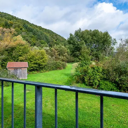Alte Muehle In Dernbach Og